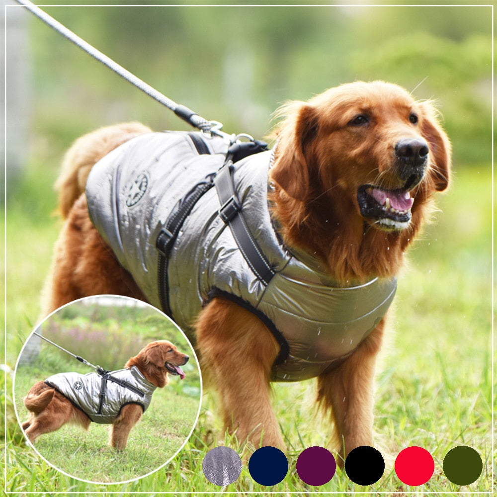 Waterproof Dog Jacket inc Harness