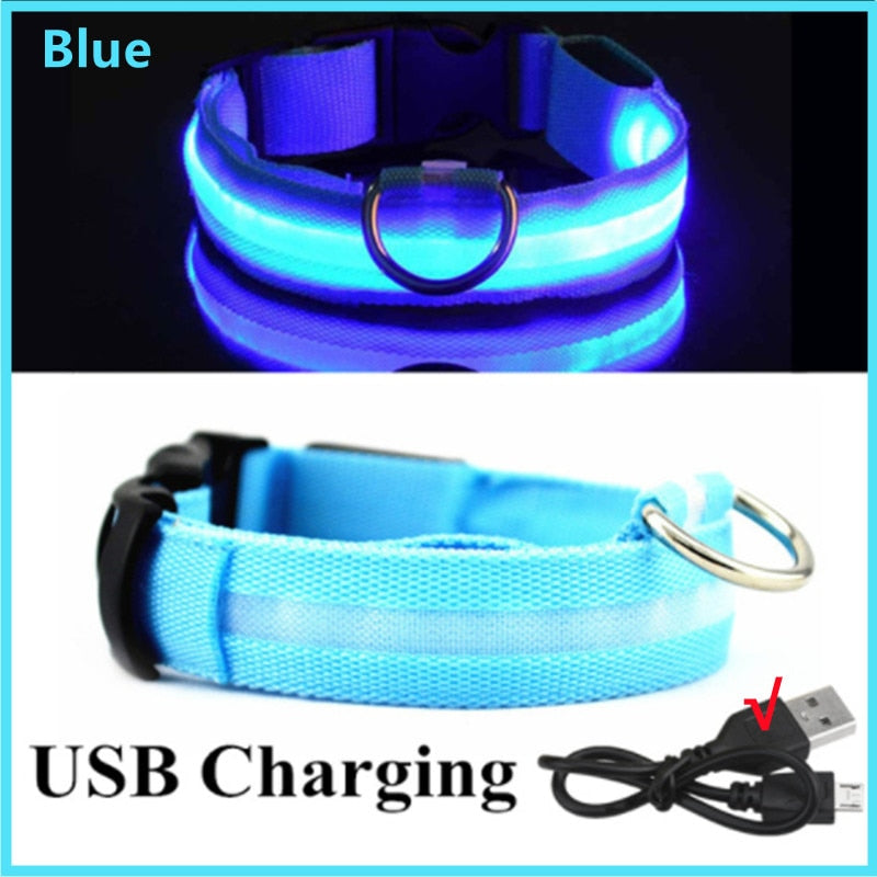 LED Glowing Dog Adjustable Collar