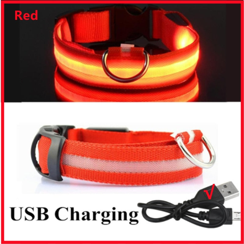 LED Glowing Dog Adjustable Collar