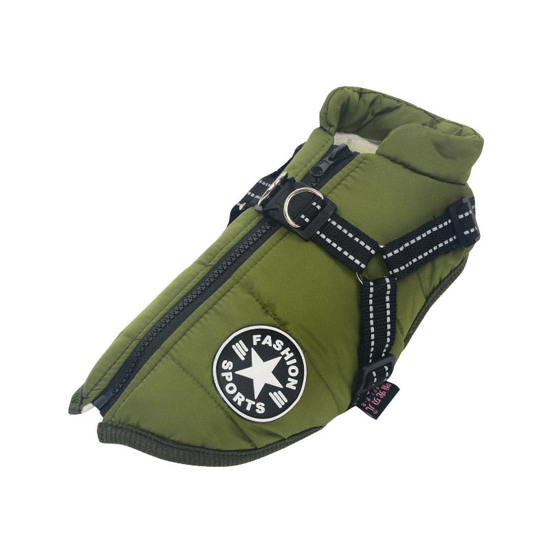Waterproof Dog Jacket inc Harness