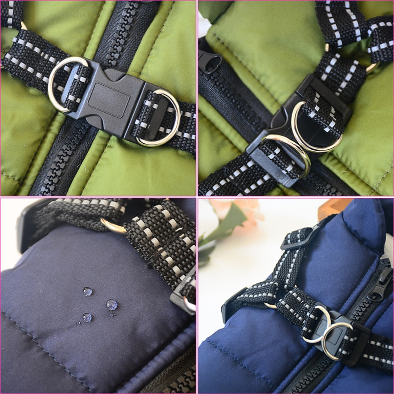 Waterproof Dog Jacket inc Harness