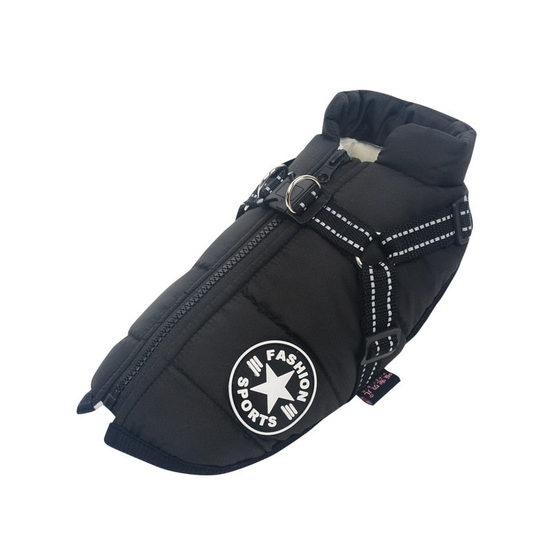 Waterproof Dog Jacket inc Harness