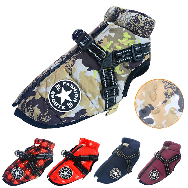 Waterproof Dog Jacket inc Harness