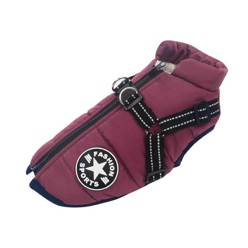 Waterproof Dog Jacket inc Harness