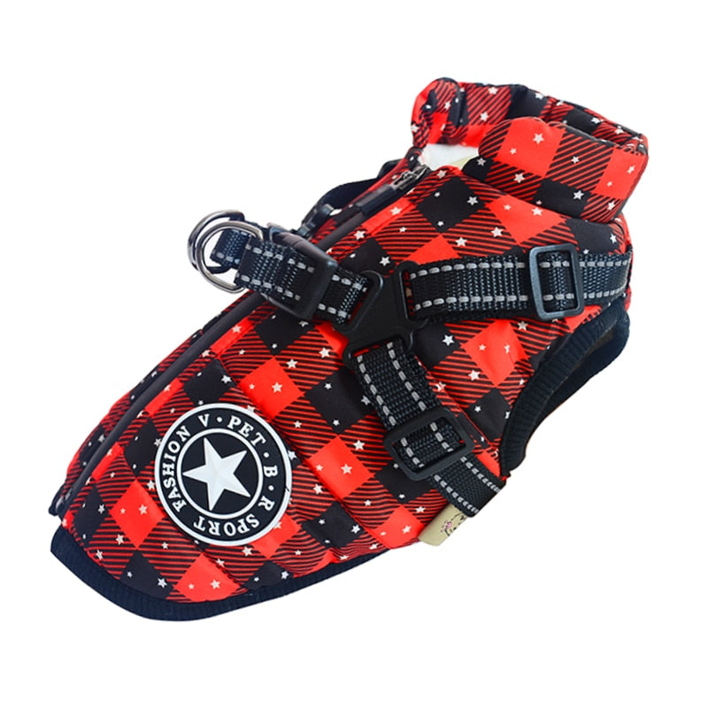 Waterproof Dog Jacket inc Harness