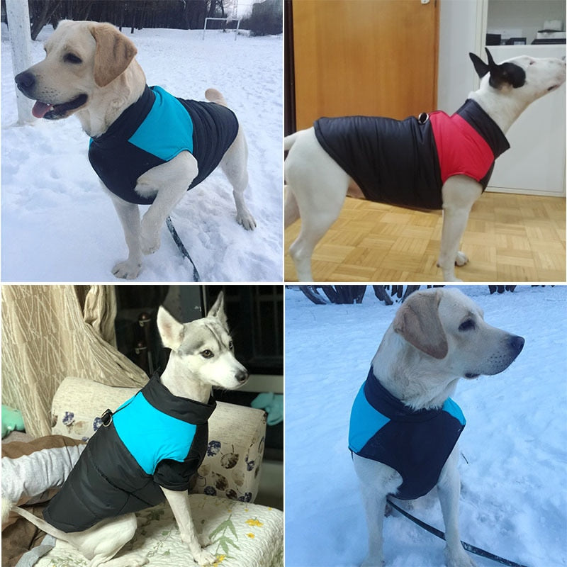 Padded Snood Jacket
