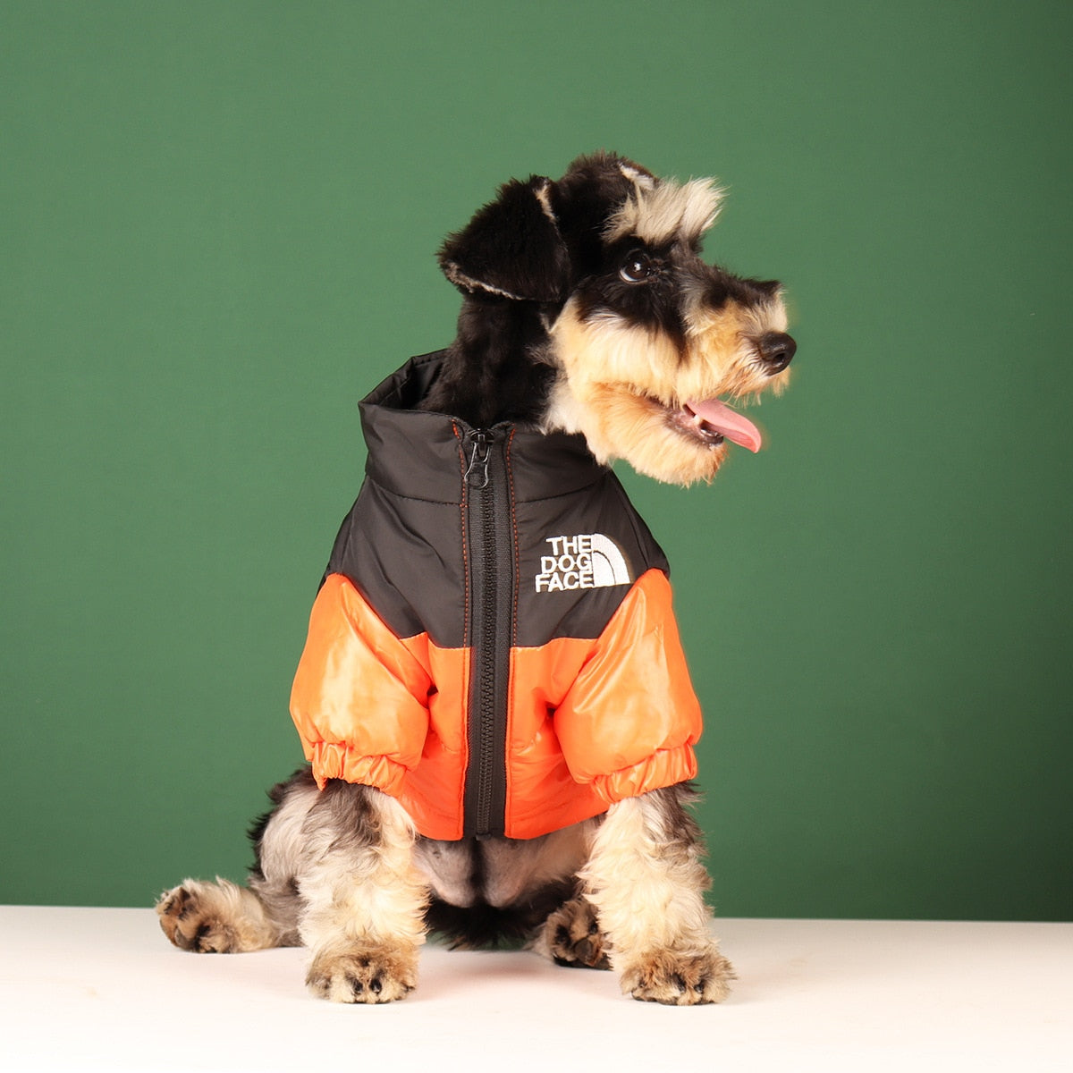 Windproof Warmer Jacket