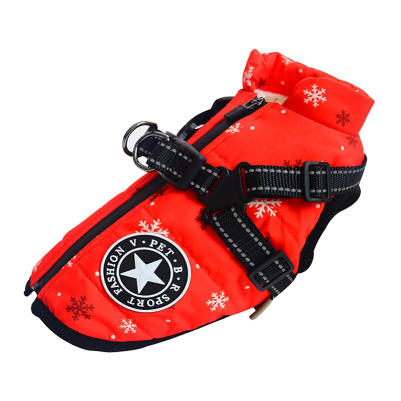 Waterproof Dog Jacket inc Harness