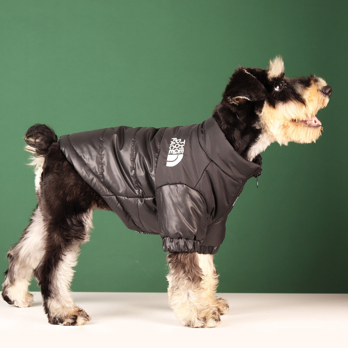Windproof Warmer Jacket