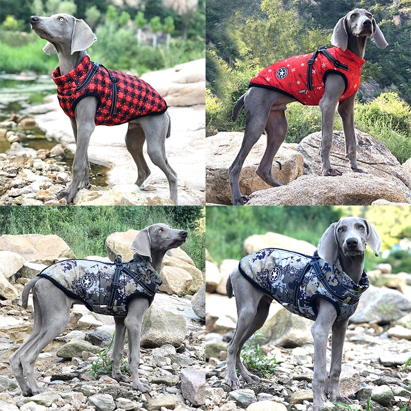 Waterproof Dog Jacket inc Harness