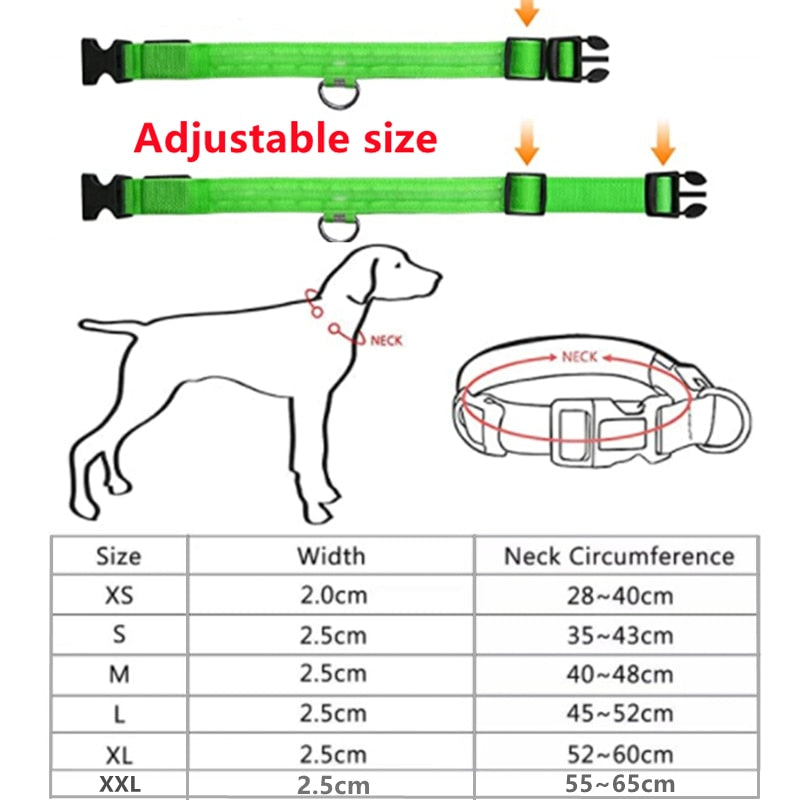 LED Glowing Dog Adjustable Collar